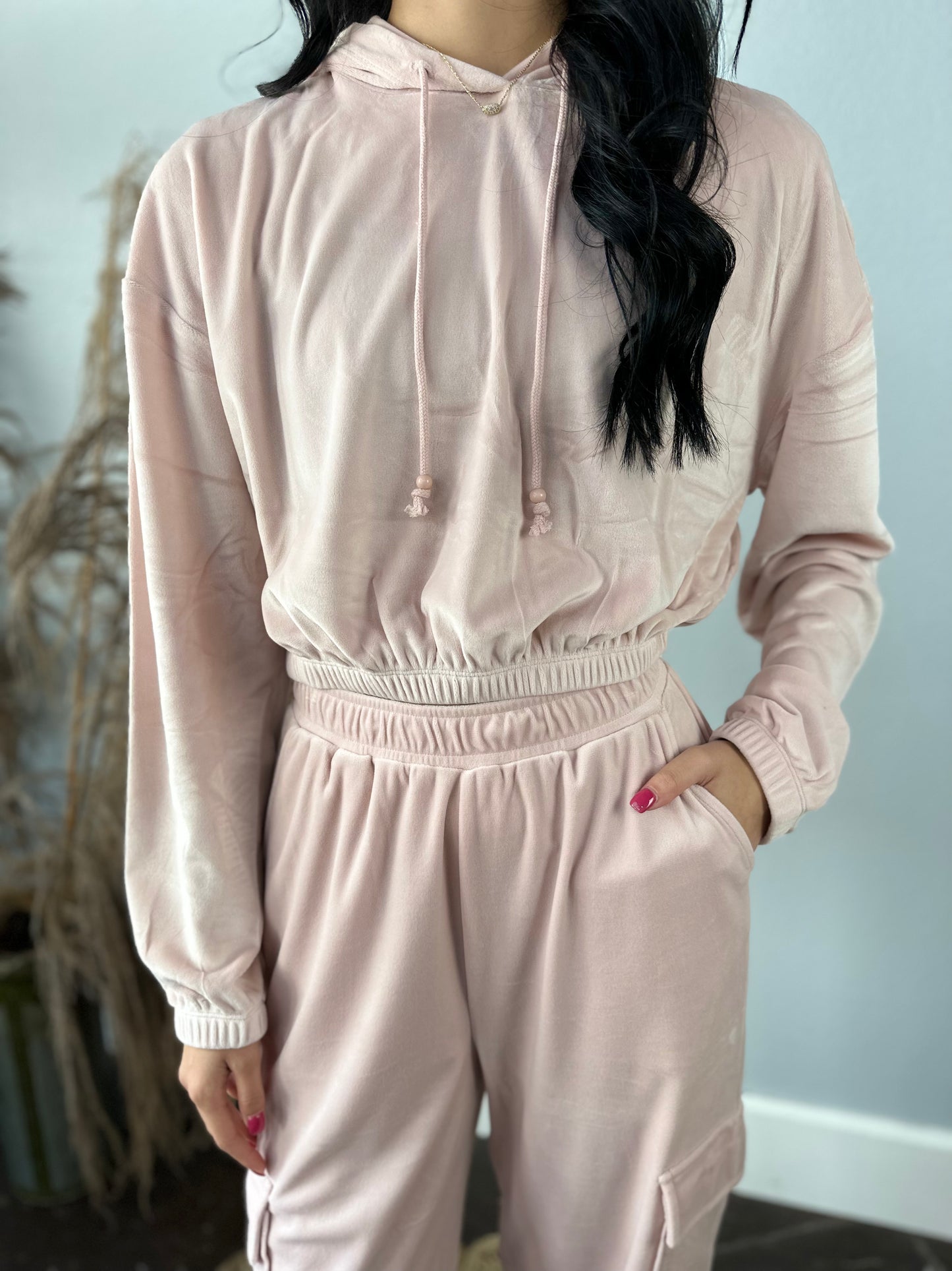 BLUSH VELOUR JOGGER SET