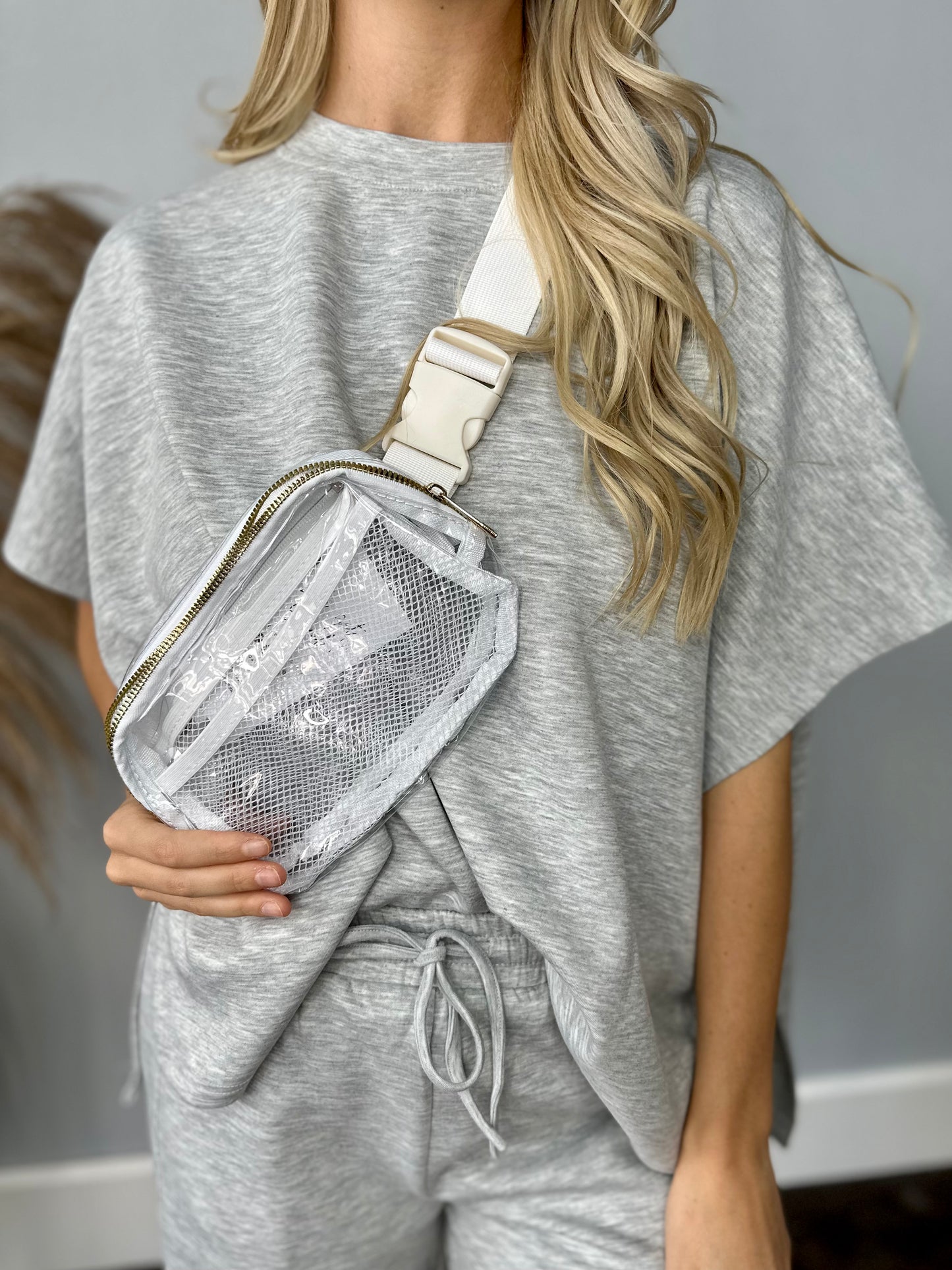 STADIUM CLEAR BELT BAG