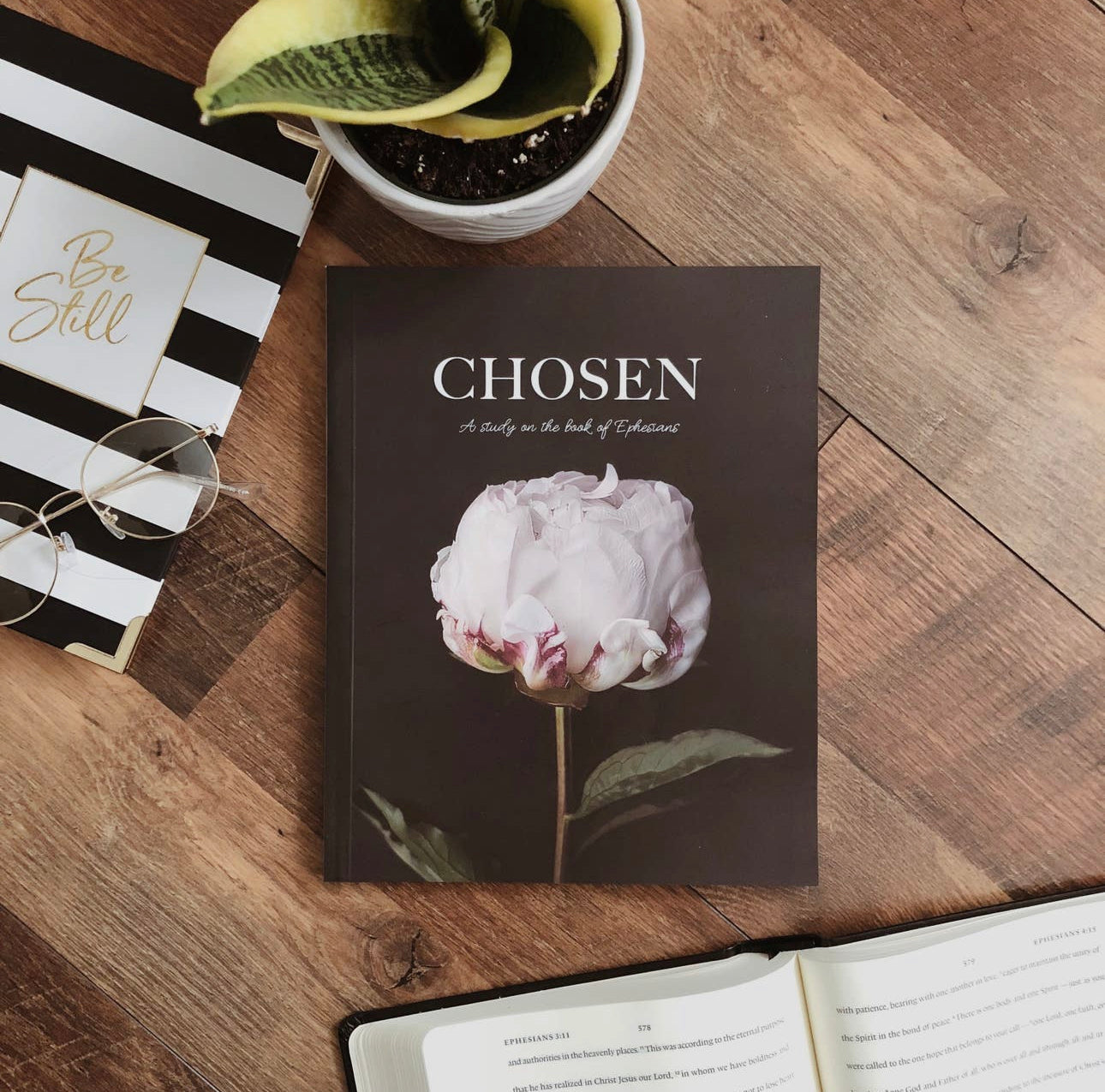 CHOSEN STUDY OF EPHESIANS