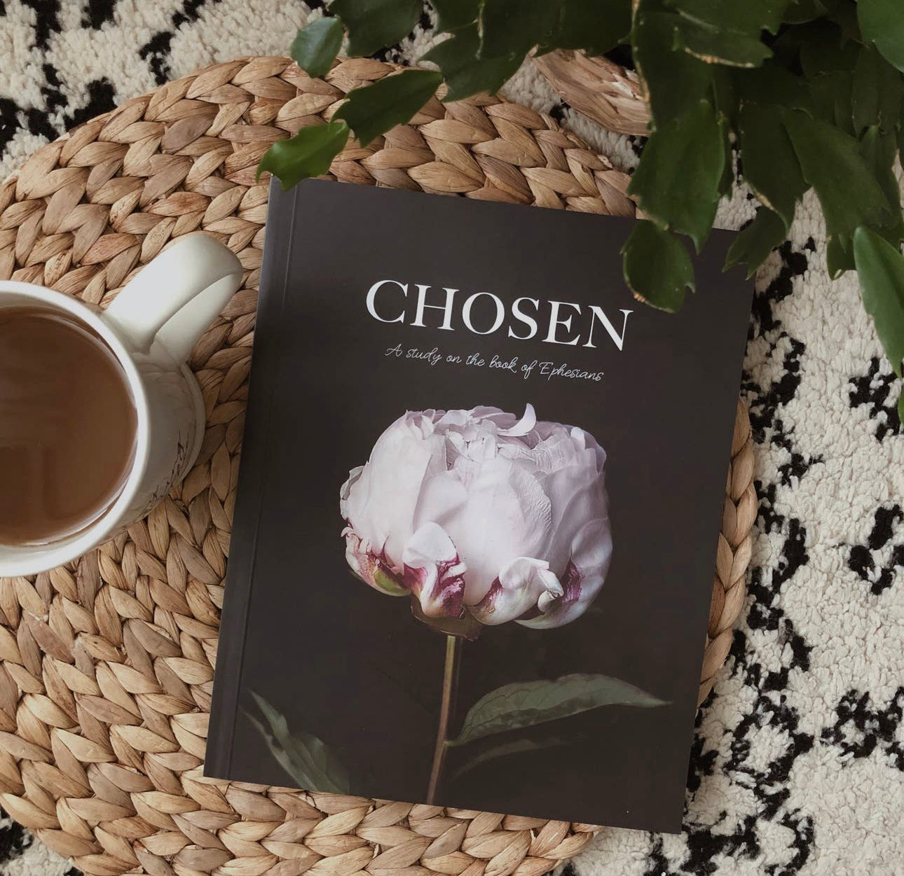 CHOSEN STUDY OF EPHESIANS