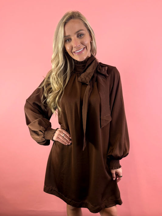 BROWN LONG SLEEVE TIE DRESS