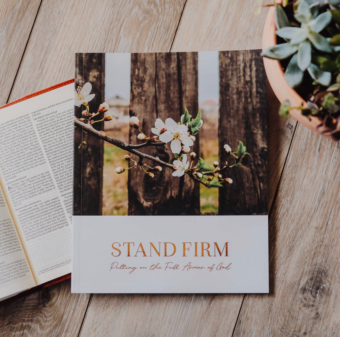 STAND FIRM // ARMOR OF GOD STUDY